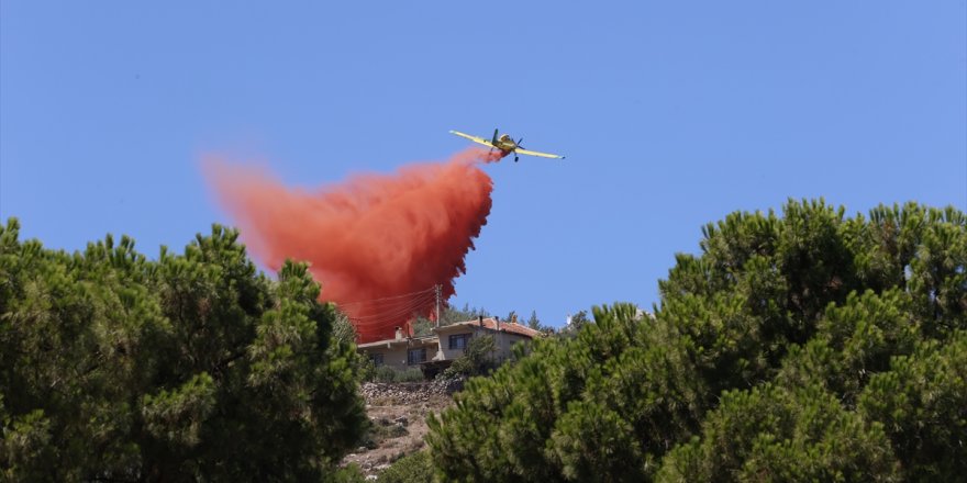  İzmir'in Kemalpaşa ilçesinde orman yangını çıktı