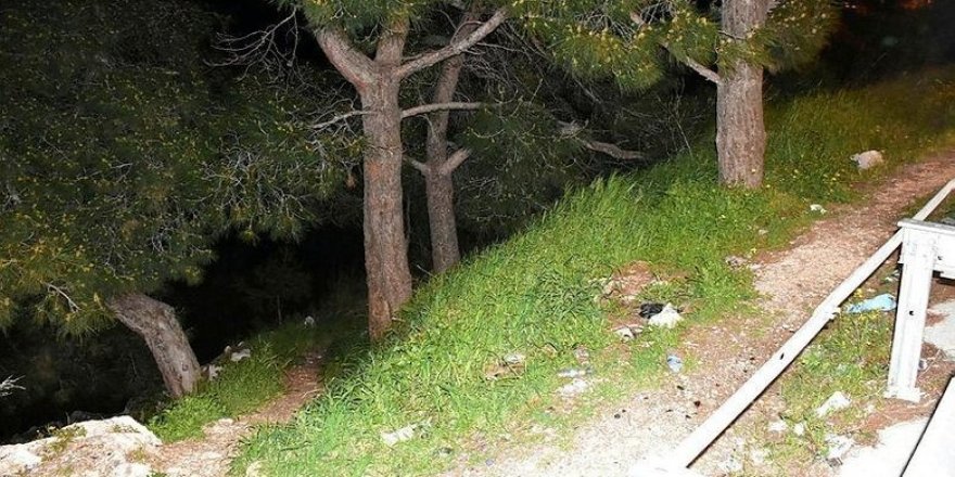 İzmir'de ormanlık alanda kadına ait olduğu tahmin edilen kafatası ve kemik parçaları bulundu
