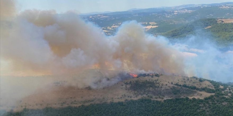 Balıkesir'in Altıeylül ilçesinde çıkan orman yangını kontrol altına alındı