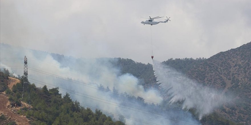 Hatay'da orman yangını çıktı