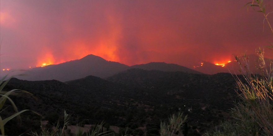 GKRY, Limasol'daki orman yangınıyla mücadele için bölge ülkelerinden yardım istedi