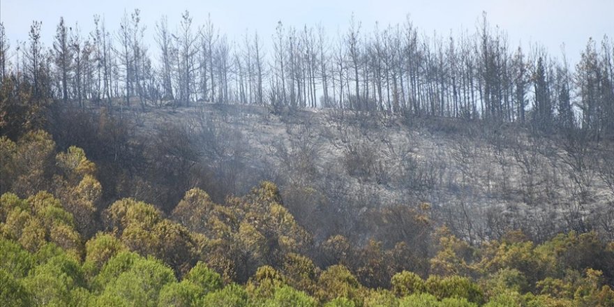 Çanakkale'de çıkan orman yangını kontrol altına alındı