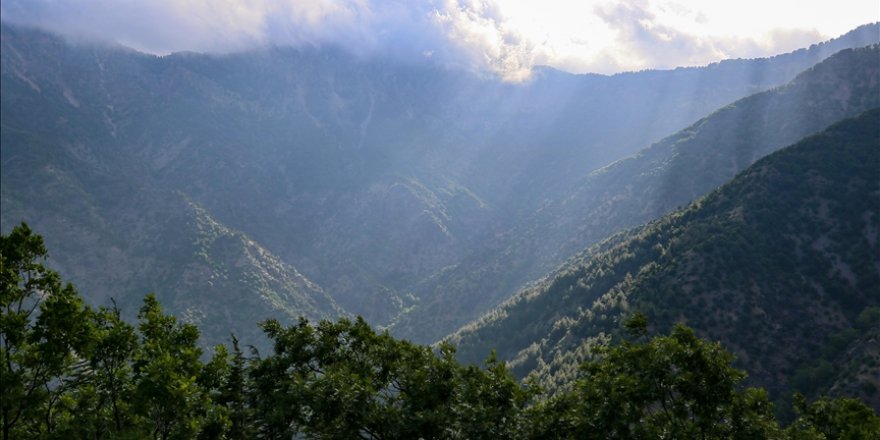 Gaziantep'teki ormanlık alanlara giriş yasağı 4 Eylül'e kadar uzatıldı