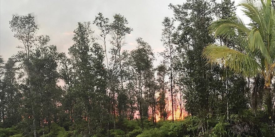 İklim değişikliği, yeşil bitki örtüsüyle bilinen Hawaii'de orman yangınlarını tetikledi