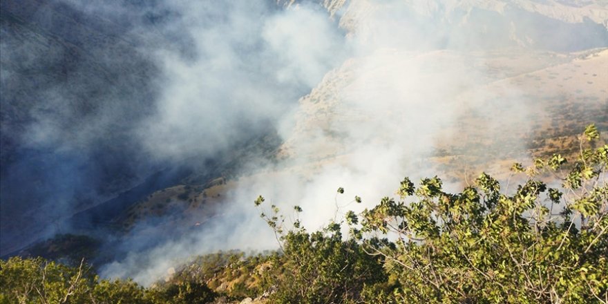 Adıyaman'ın Gerger ilçesinde çıkan orman yangını kontrol altına alındı