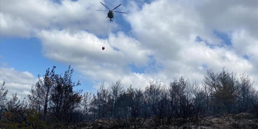 Çanakkale'de çıkan orman yangını kontrol altına alındı