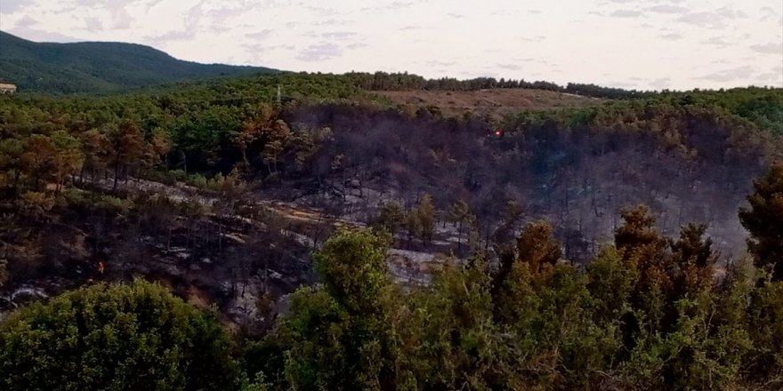 Afyonkarahisar'da çıkan orman yangını söndürüldü