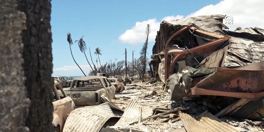 Hawaii'de devam eden orman yangınlarında ölenlerin sayısı 96'ya yükseldi