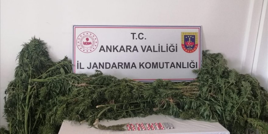 Ankara'da jandarma ekiplerince uyuşturucu operasyonu düzenlendi