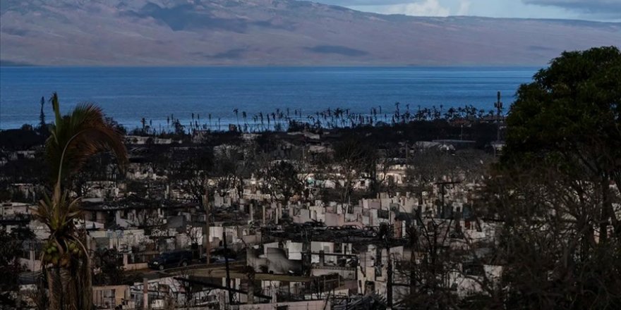 Hawaii'deki orman yangınlarında ihmal iddialarının ardından Acil Durum Yönetim Kurumu Başkanı istifa etti