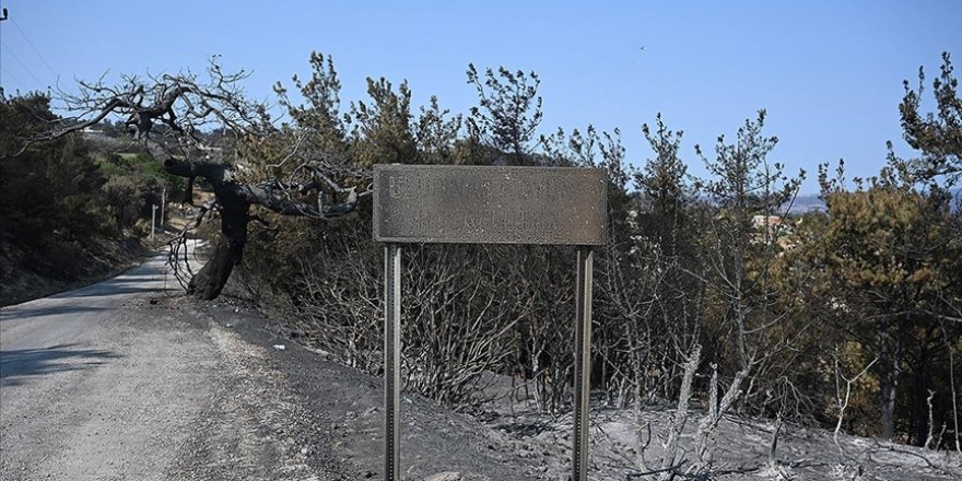 Çanakkale'deki orman yangını nedeniyle 1428 kişi tedbir amaçlı tahliye edildi