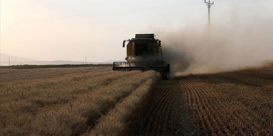 163,1 milyon liralık tarımsal destekleme ödemesi çitçilerin hesaplarına bugün yatırılacak