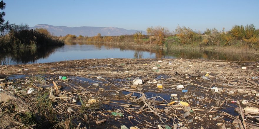 Büyük Menderes Nehri'nde kuraklık nedeniyle yüzlerce balık öldü