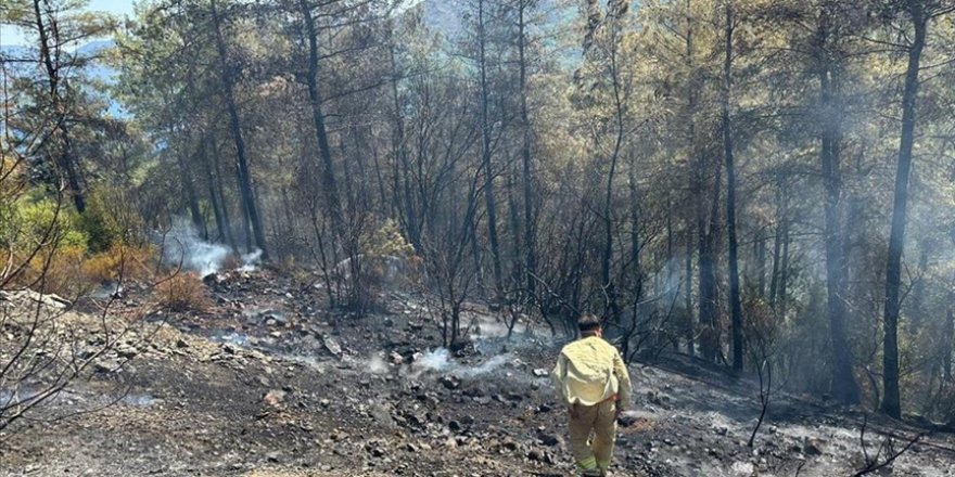 Marmaris'te çıkan orman yangını kontrol altına alındı