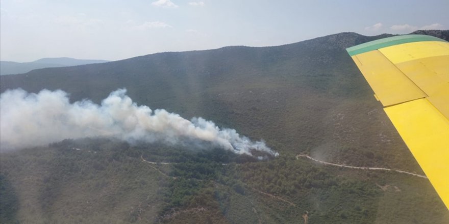 İzmir'de çıkan orman yangını kontrol altına alındı