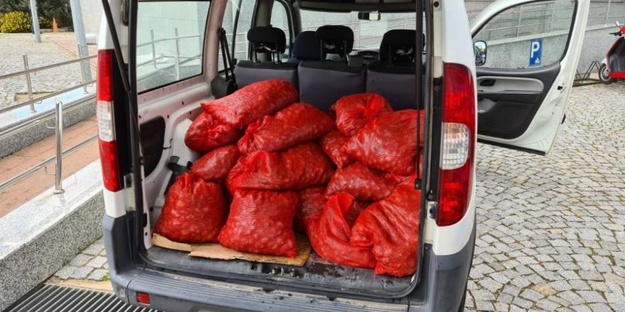 İzmir’de kaçak yollarla avlanan 400 kilogram midye denize bırakıldı