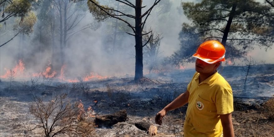 Muğla'da yıldırımlar 36 yerde yangına neden oldu