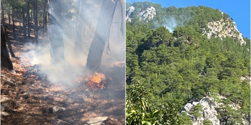 Muğla'nın Köyceğiz ilçesinde orman yangını çıktı