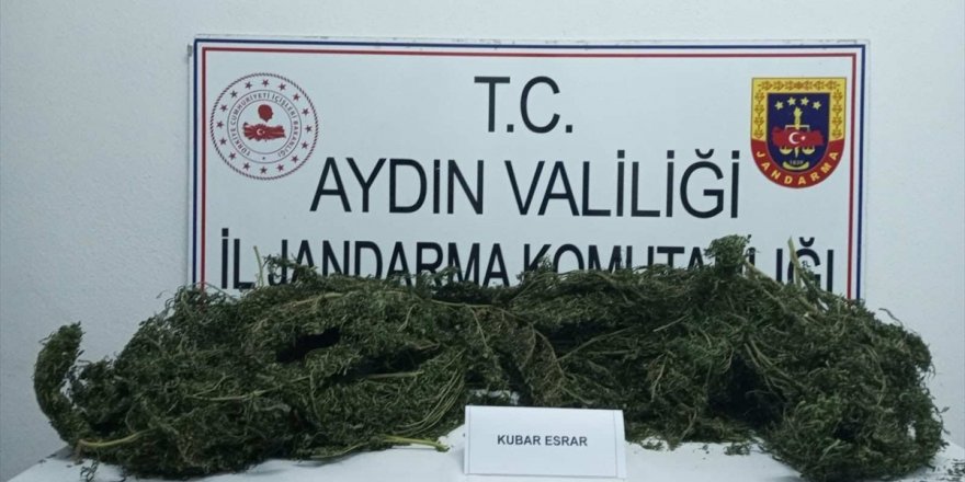 Aydın'da uyuşturucu ve kaçak tütün operasyonları