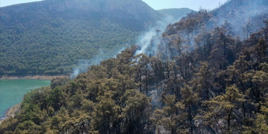 İzmir'deki orman yangınında 260 hektar alan zarar gördü
