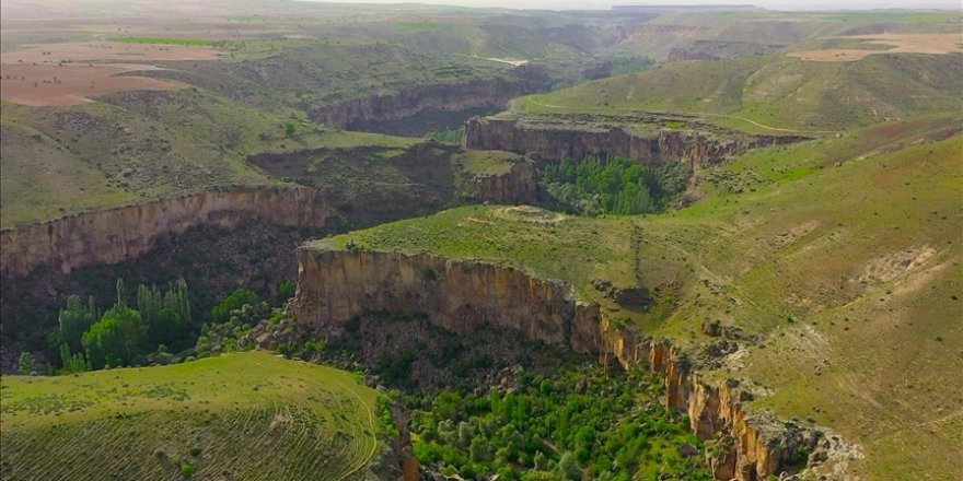 Ihlara Vadisi'ndeki bitki ve hayvan türleri kayıt altına alındı