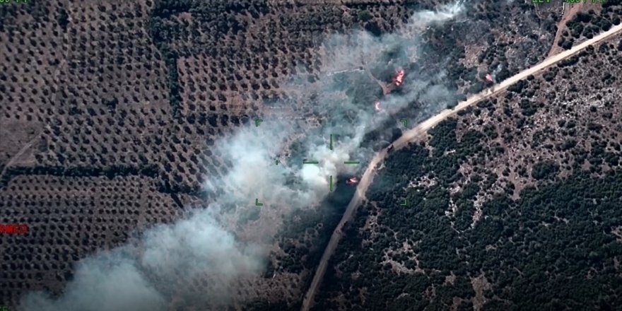 Muğla'da çıkan orman yangınına müdahale ediliyor