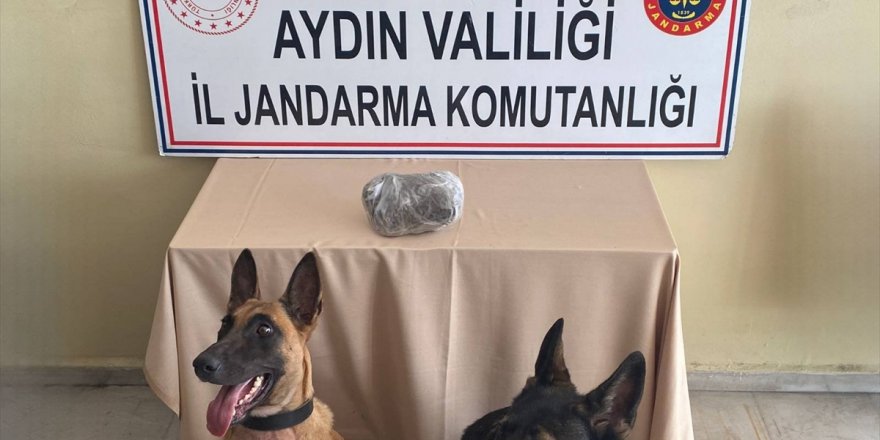 Aydın'da yolcu otobüsünde uyuşturucuyla yakalanan zanlı gözaltına alındı