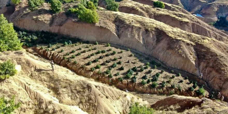 Diyarbakır'da 864 kilo 800 gram esrar ve 2 milyon 33 bin 815 kök kenevir ele geçirildi