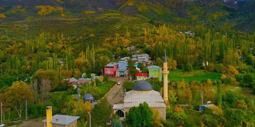 Erzurum'un Tortum ilçesinde sonbahar renkleri hakim oldu