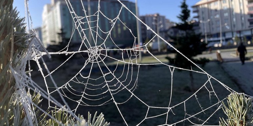 Kars ve Ardahan'da bitkiler kırağıyla kaplandı, araç camları buz tuttu