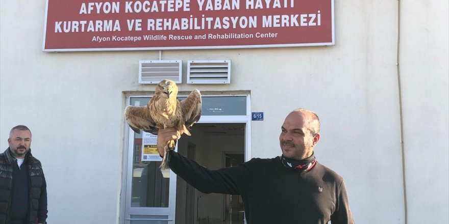 Afyonkarahisar'da tedavisi tamamlanan şahin ve kartal doğaya salındı