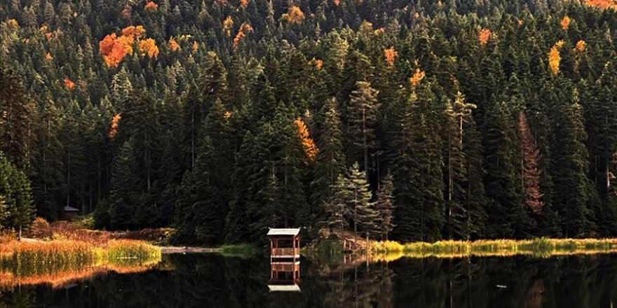 Sinop'un turizm merkezlerinden Akgöl, ziyaretçilerine sonbaharın güzelliğini yaşatıyor