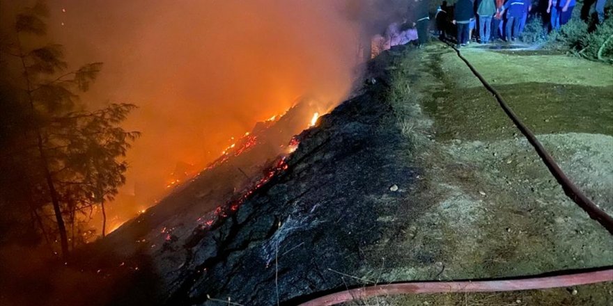 Muğla'da çıkan yangında yarım hektar ormanlık alan zarar gördü