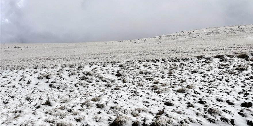 Kars ve Ardahan'ın yüksek kesimlerinde kar etkili oldu