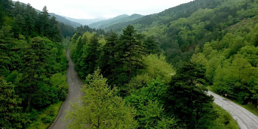 Kazdağı Koruma Derneği: ’60 yıllık ruhsat’ koca bir yalan