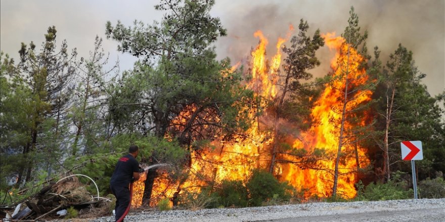 Bu yıl orman yangınlarının yüzde 80'i ihmal, dikkatsizlik ve kaza sonucu çıktı