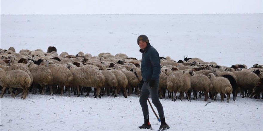 Kars'ta merada kar yağışına yakalanan besiciler zor anlar yaşadı