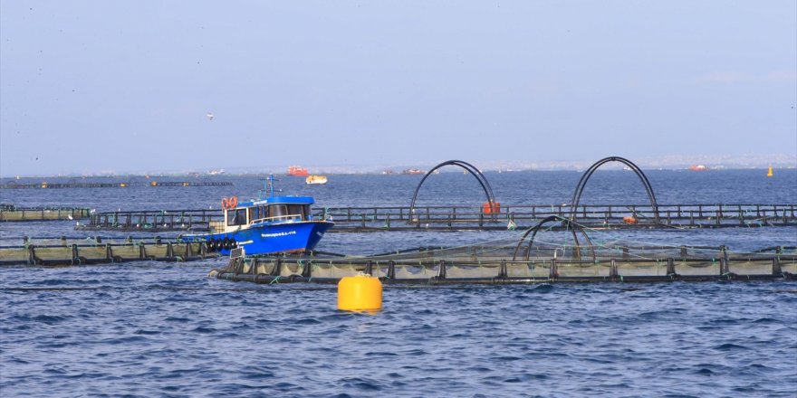 TBMM Balıkçılık ve Su Ürünleri Araştırma Komisyonu üyeleri, Muğla'da balık çiftliklerini inceledi