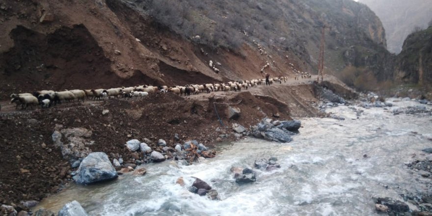 Hakkari’de sürülerin göçü başladı