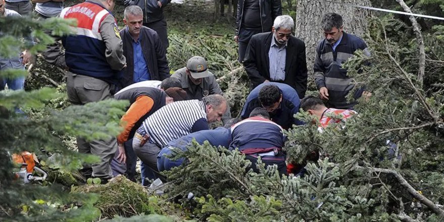 Denizli'de kestiği ağacın altında kalan kişi öldü