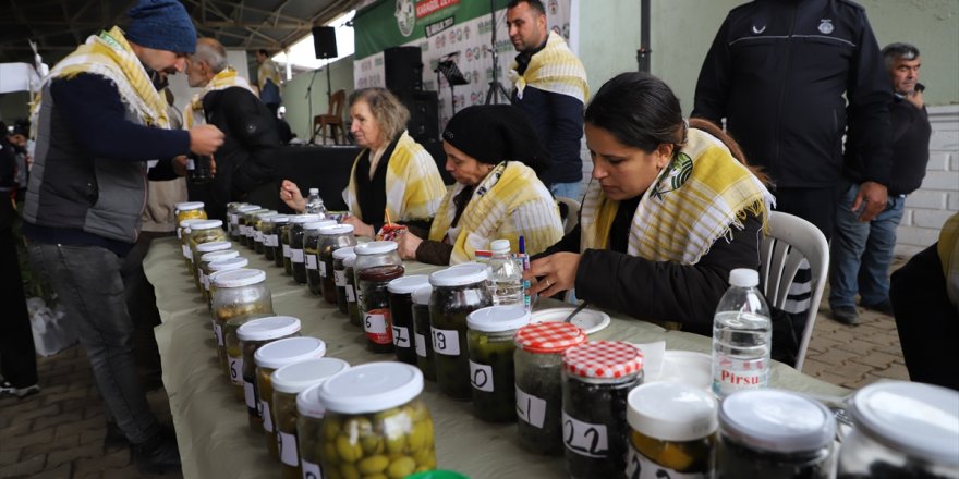 Gölbaşı Karagöl Zeytin Kültür ve Sanat Festivali, yapıldı