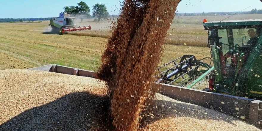 Rusya, durum buğdayı ihracatını geçici olarak yasakladı
