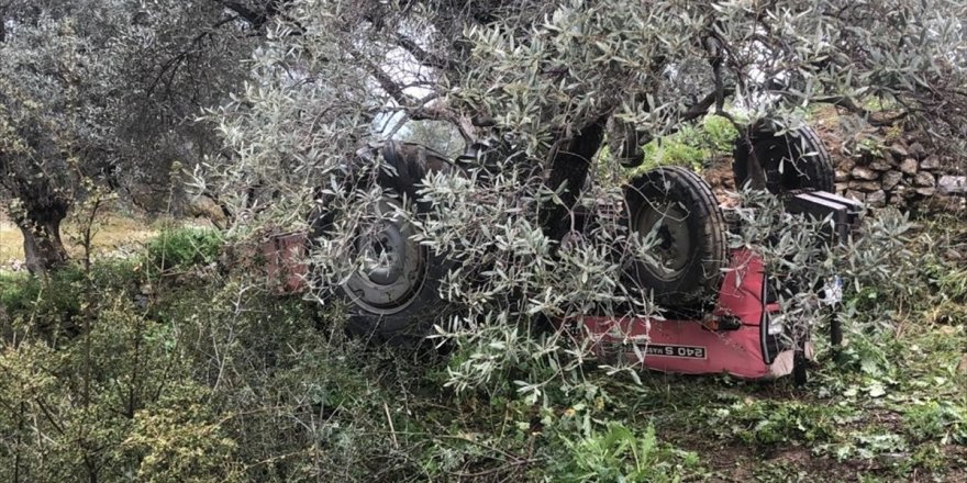 Aydın'da devrilen traktör ile ağaç arasında sıkışan kişi hayatını kaybetti