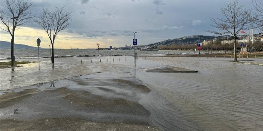 Kocaeli'de fırtına nedeniyle deniz taştı, otomobillerin üzerine ağaç devrildi