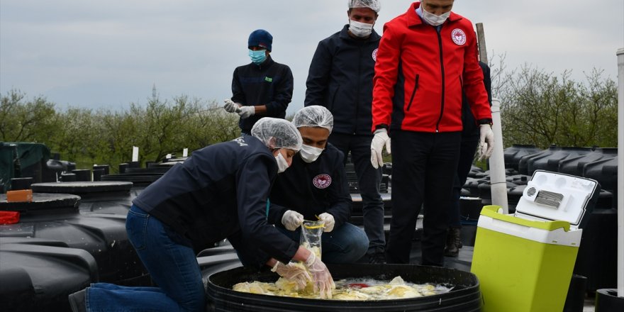 Tarım ve Orman Bakanlığı uygunsuz görüntüler nedeniyle turşu işletmesini faaliyetten menetti