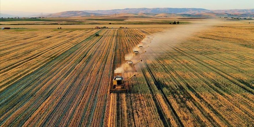 Tarımda üretim planlaması gelecek yıl hayata geçirilecek