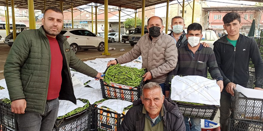 Geçen yıl pandeminin vurduğu baklayı bu yıl don vurdu