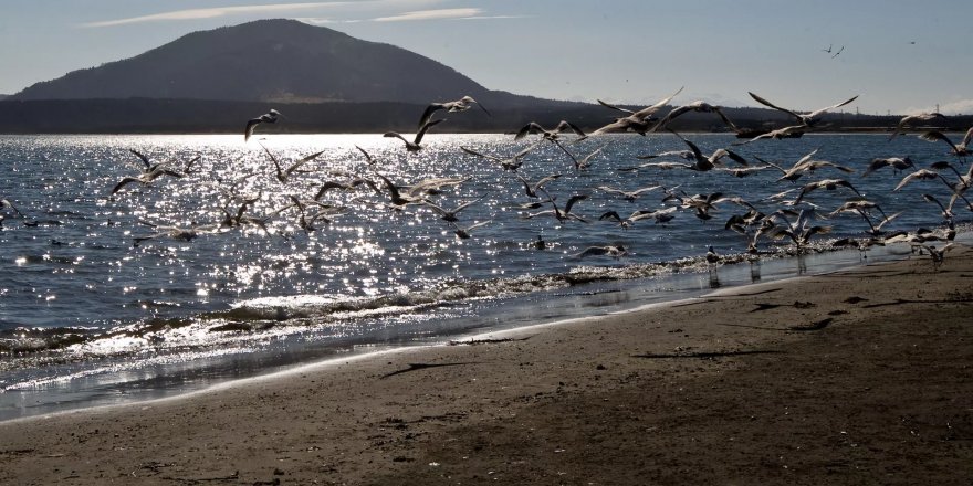 Rusya’nın Sahalin bölgesinde Tsunami alarmı