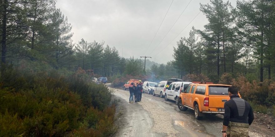 Muğla'da mantar toplamak için gittiği ormanlık alanda kaybolan kişi 9 gündür aranıyor