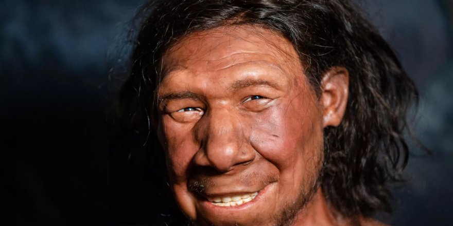 Temel göstergeleri açıklandı: Neandertal misiniz?